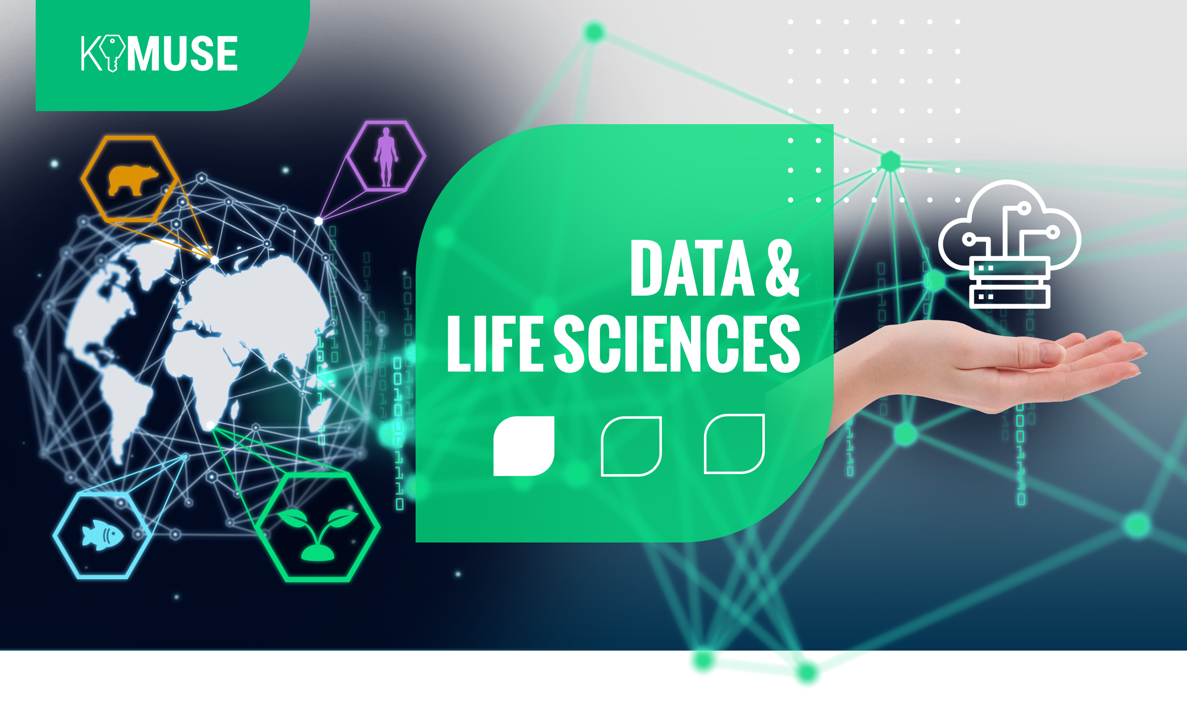 KIM DATA & LIFE SCIENCES
